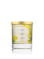 نرجس – شمعة عطرية