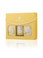 نرجس – صندوق شموع