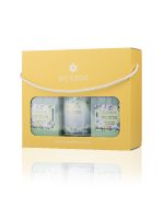 نيلوفر – صندوق شموع