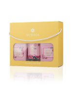 أوركيد – صندوق الشموع